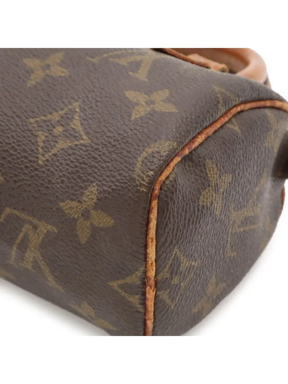 Louis Vuitton Monogram Mini Speedy Mini Bag Pouch Case